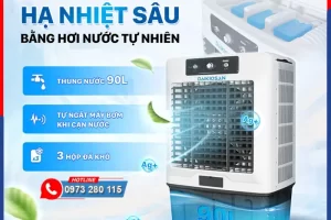 Máy làm mát không khí Daikiosan DM205 680W