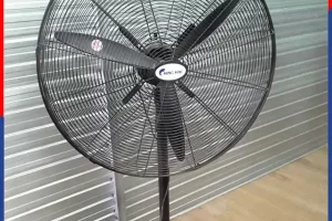 Quạt đứng công nghiệp Chinghai làm mát nhà xưởng, nhà hàng, quán ăn
