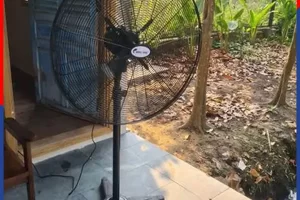 Quạt đứng công nghiệp Chinghai nhiều ứng dụng