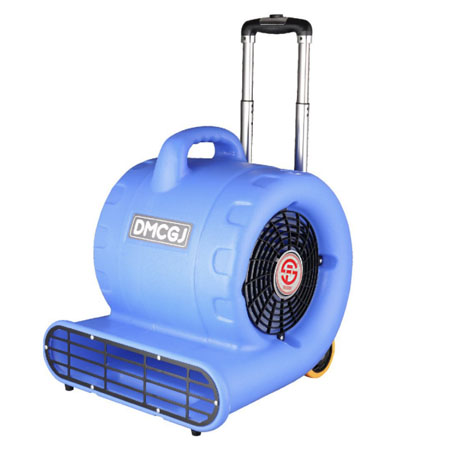 Quạt thổi khô sàn thảm Sunfan DM-250