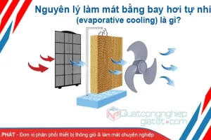 nguyen ly lam mat khong khi bay hoi 1