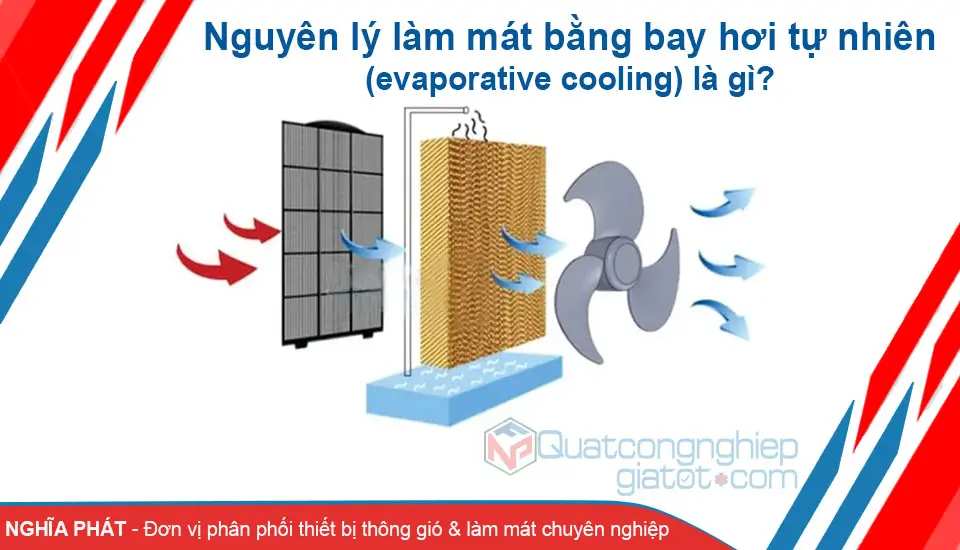 Nguyên lý làm mát bằng bay hơi tự nhiên là gì? Nguyên lý làm mát bằng bay hơi tự nhiên là gì?